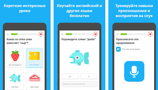 Duolingo 5.141.7 бесплатно - взломанная версия на андроид