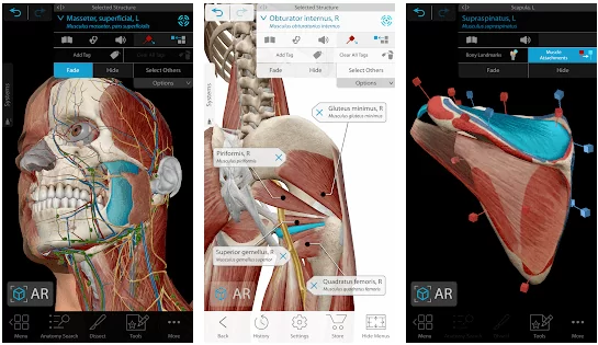 Human Anatomy Atlas скриншот