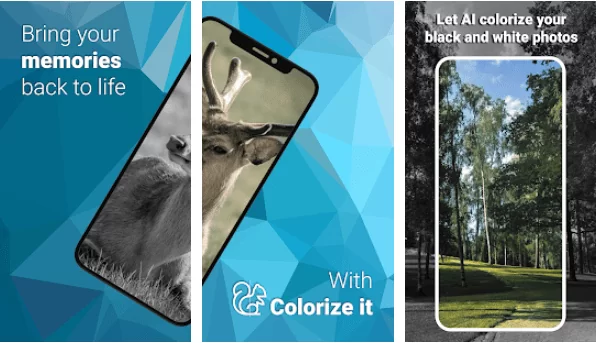 Colorize it: Раскрашиваем фото PREMIUM 2.0.10 - скачать на андроид