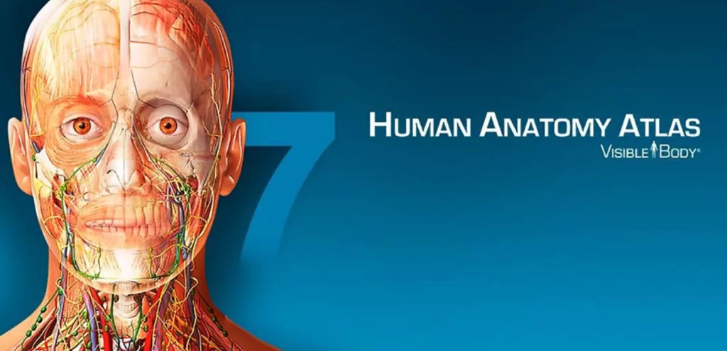 Human Anatomy Atlas - скачать бесплатно на Андроид